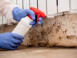 Mold Remediation for Rental Properties in Norwalk, OH